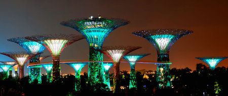 SINGAPORE - JANUARY 22: Night view of The Supertree Grove at Gardens near Marina Bay January 22,...