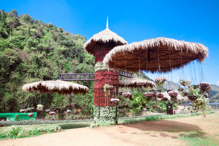 Station agricultures Ang Khang, Thailandの写真素材