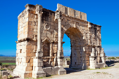 Roman ruins in Volubilis, Meknes Tafilalet, Moroccoの写真素材