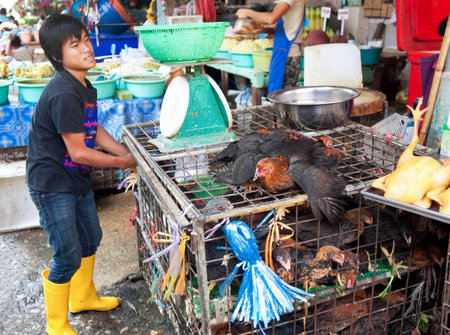 BANGKOK - DECEMBER 19: A street vendor chickens largest market Khlong Toey in Bangkok, on street Rama IV, December 19 , 2013 A common way of earning a living amongst the local people in Thailand.のeditorial素材