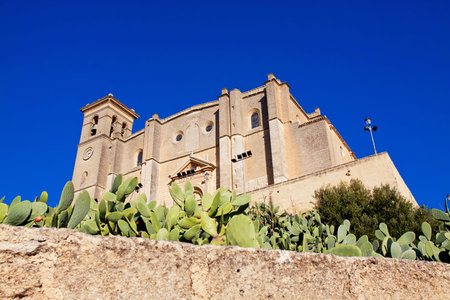 Collegiate church and monastery of Osuna. Andalucia, Spainの写真素材