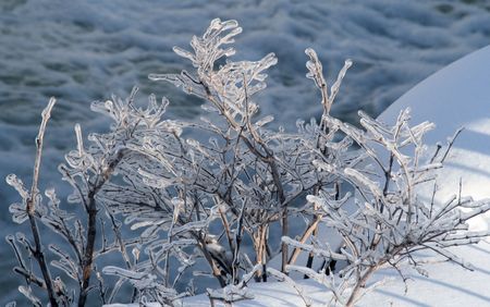 ice covered trees in winter with rushing waterの写真素材