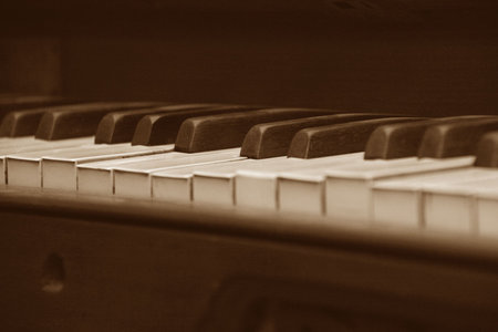piano keys head onの写真素材