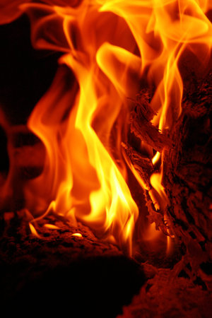 blazing fire wood in red and orange flames with ashes and ambers