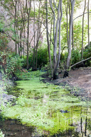 Azuajeの写真素材