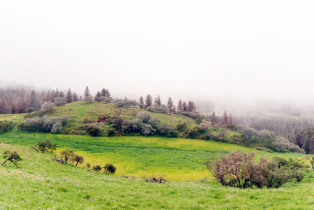 A panoramic view of the Pinos of Gáldarの写真素材