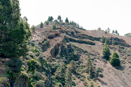 A shot of the Pinos Crater in Grand Canaryの写真素材