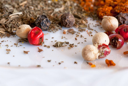 A macro species composition of different colors and texturesの写真素材