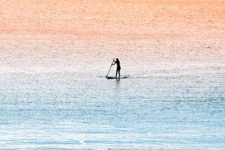 Silhouettes of a stand-up paddle surfer (standup paddleboarding surfer) girl in the sea at dawnの写真素材
