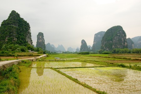 Rural landscape near Yangshuo, Guangxi province, Chinaの写真素材