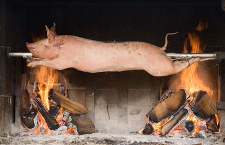 Piglet roasted on a spitの写真素材