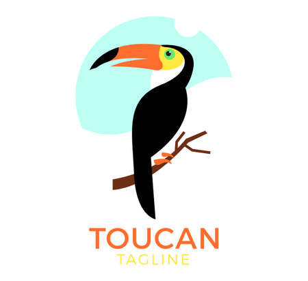 toucan vector logo template designのイラスト素材