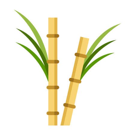 sugar cane flat clipart vector illustrationのイラスト素材