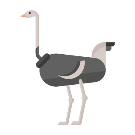 ostrich flat clipart vector illustrationのイラスト素材