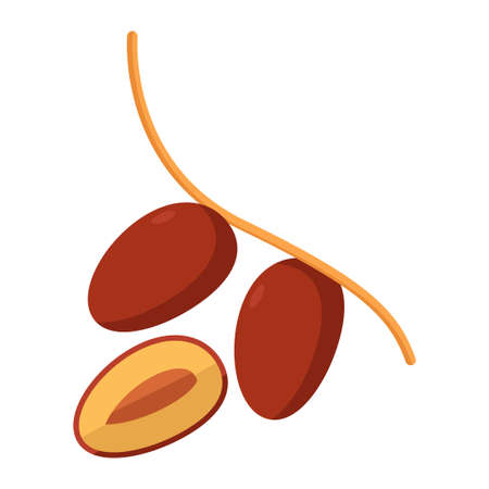 dates fruit flat clipart vector illustrationのイラスト素材