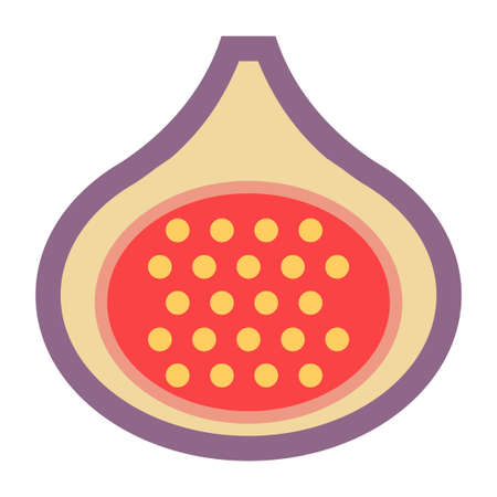 fig fruit flat clip-art vector illustrationのイラスト素材