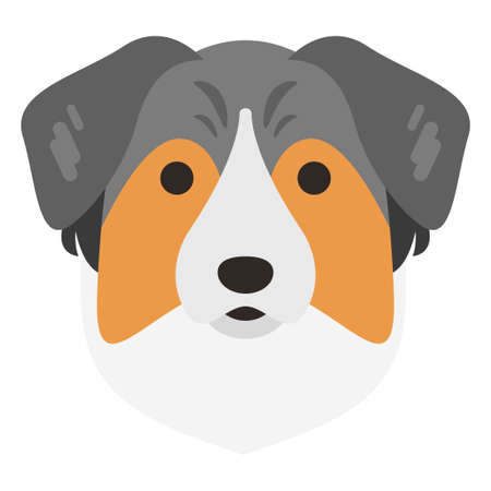 australian shepherd dog face flat clipart vector illustrationのイラスト素材