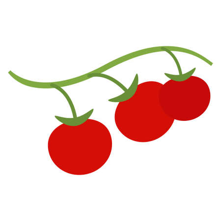 cherry tomatoes flat clipart vector illustrationのイラスト素材