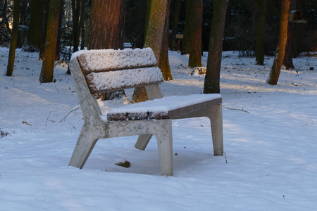 Snow covered benchの写真素材