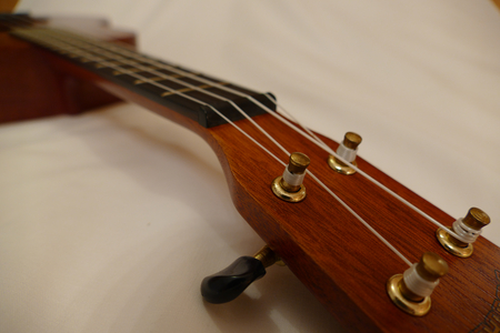 Tenor ukulele headの写真素材