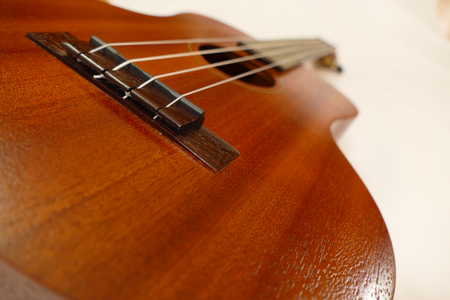 Tenor ukuleleの写真素材