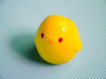 Yellow Chickの写真素材