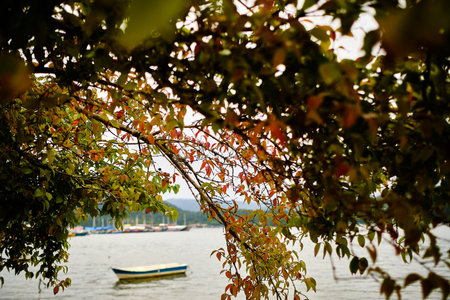 fisherman boat on a beautiful beach with foliage in the background, in the sand of the beach of rio de janeiroの写真素材