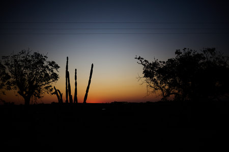 dusk by beach; central america sunset; paradise; sundown; coast; tropical; breathtaking nature; colorful sunset; amazing colors; red sunset; colorful sky at dusk; breathtaking suの写真素材