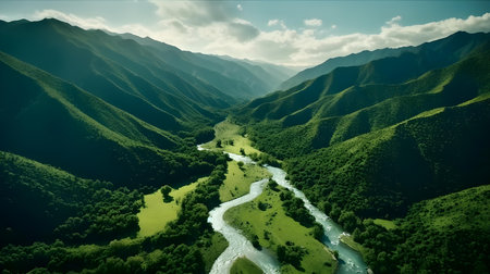 Aerial view of a mountain river in the middle of a green valleyの素材