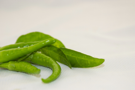 Fresh, hot green peppers on a white background.の写真素材
