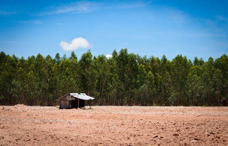 Alone hut on ground forest and the skyの写真素材
