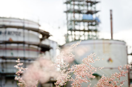flower grass and petrochemical plant background