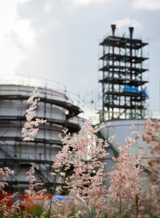 flower grass and petrochemical plant backgroundの写真素材