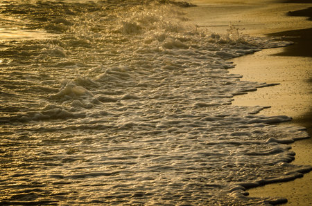 golden wave on the beach