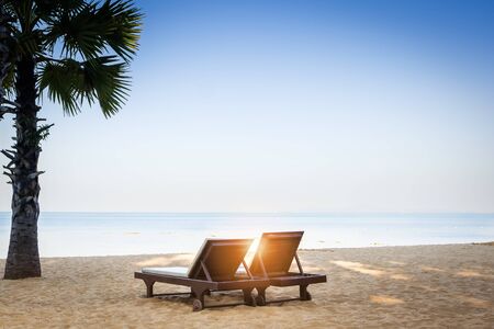 Palm trees and the sunbeds at  tropical beach.の写真素材