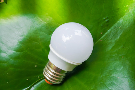 LED bulb in nature backgroundの写真素材