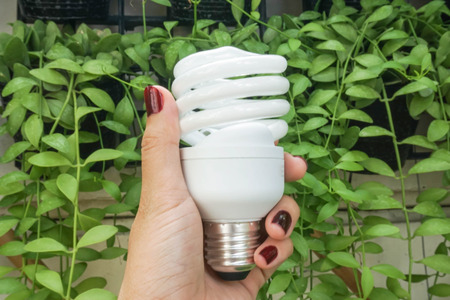 Twist and spiral LED ligh tbulb in hand with nature backgroundの写真素材