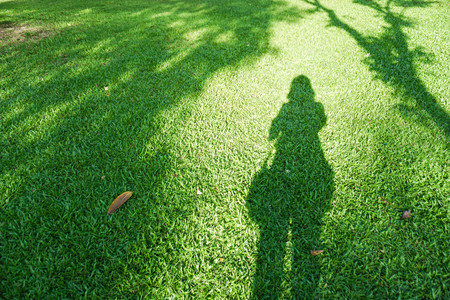 shadow of lonely woman on the fresh green yard in the city parkの写真素材