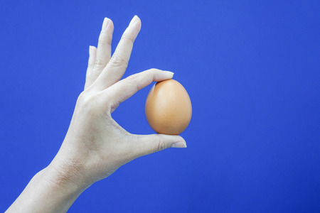 Hold an egg by human hand in the background of blue colorの写真素材