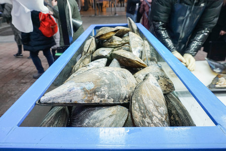 close up giant fresh mussel in glass case ready for cookingの写真素材