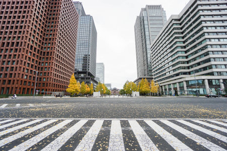 close up crosswalk surrounded by commercial buildings in Tokyo station taken in Japan on 4 December 2016のeditorial素材