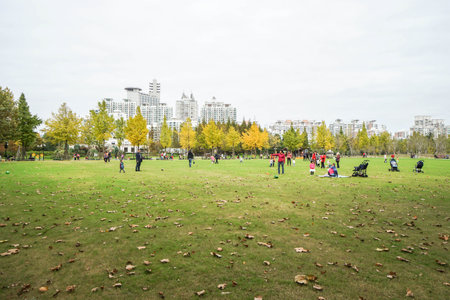 family time in the park taken in Shanghai, China on 15 November 2016のeditorial素材