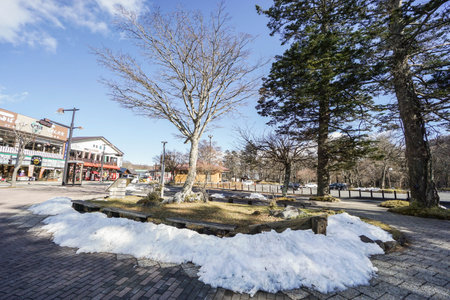 snow on the floor in sunny day taken in Chuzenji lake in Nikko on 2 December 2016のeditorial素材
