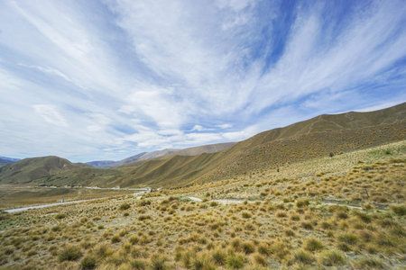 grass on Lindis Pass area in New Zealand with cloudy blue sky in Springの写真素材