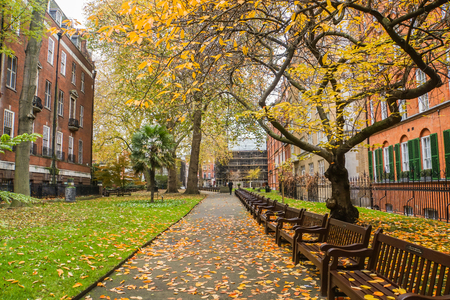 falling leaves in the park with wooden bench for relax in autumn in Londonの写真素材