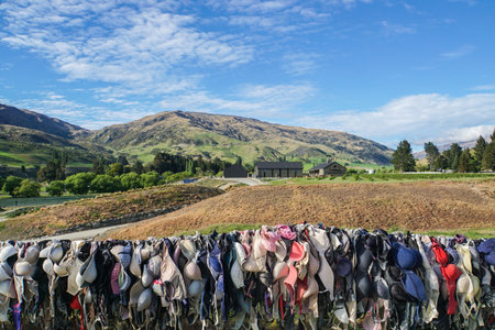 Otago / New Zealand - 28 October 2017: brassiere and lady bras at Cardrona Bra Fence for breast cancer campaignのeditorial素材