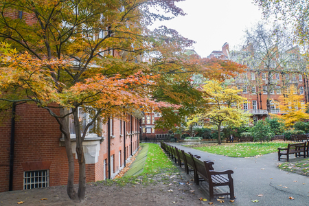 wooden bench for rest and trees in London public garden turn orange and yellow in autumn seasonの写真素材