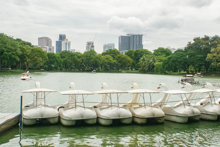 close up cute water cycle in the lake at Lumpini park for family relaxation and exercise taken in Bangkok on 11 July 2018のeditorial素材