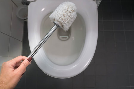 close up woman use brush for cleaning toilet bowl for health