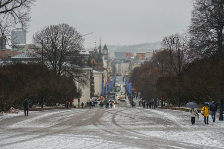 Oslo / Norway - December 9 2019: people on walkway to Royal palace in snowy dayのeditorial素材